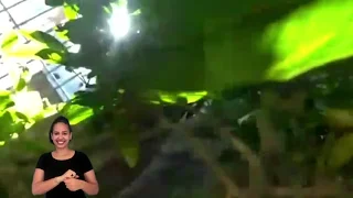 Cuidar da Casa Comum: Por uma cidade sustentável